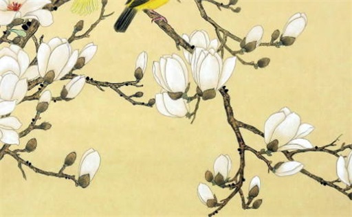 2023癸卯年运势好的八字 &nbsp;哪些人在2023年走运