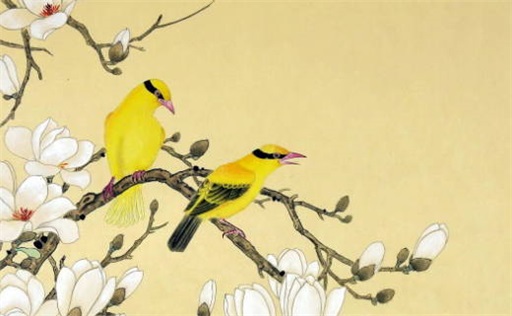 丁火身弱癸卯年运势女命 &nbsp;身弱丁火2023年怎么调整