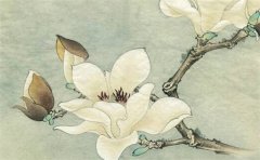 癸卯年适合添丁的八字预测命运：丙寅命有子女之缘