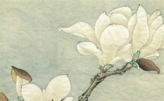 甲木身弱2023年运势测算：中等偏上吉于成家立业