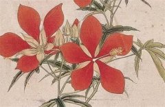 天生适合修道人的八字预测命运：华盖入命而逢空佛缘深厚