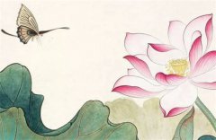 财多身弱预测命运：遇正官大运，财多身弱命好吗