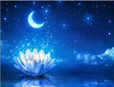 爱莎公主今日星座运势：2023年2月24日（算命一条街最准网站​）