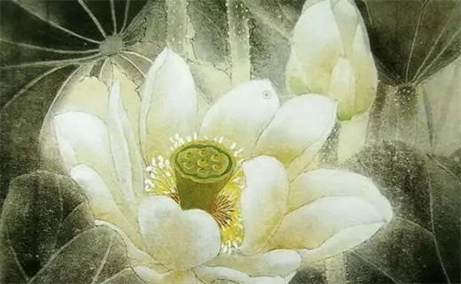 癸卯日女命好还是不好 癸卯日女命是苦命吗