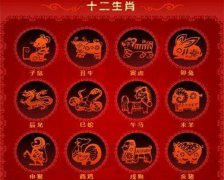 郑博士运势：3月1日12生肖运势