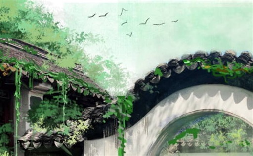 癸卯流年是水旺还是木旺 2023年癸卯年什么最旺