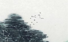 命里有贵子的日柱：运势测算女人八字里有什么能得贵子