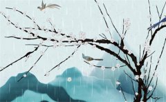 癸卯为什么不好？运势测算癸卯日是什么命格