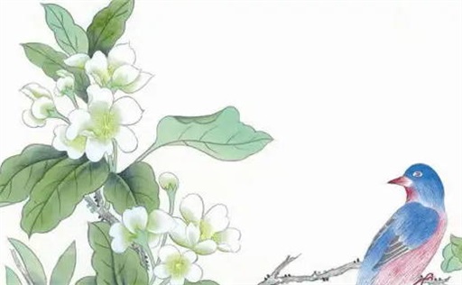 丁火和癸水谁聪明 不分高低各有千秋&nbsp;&nbsp;