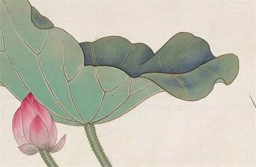 癸水命是鬼转世吗 神仙为什么投胎癸水命