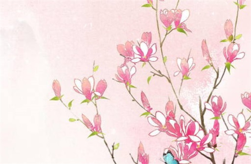 流年杀枭好不好 流年杀枭会发生什么事