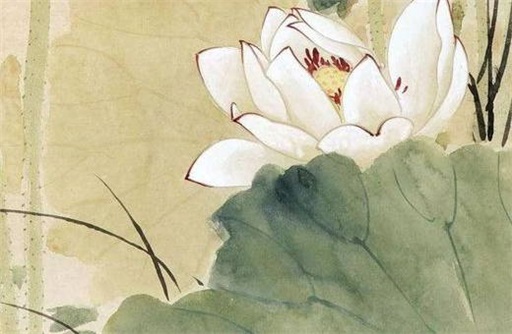 为何很多高人不敢说紫微星  地位崇高备受尊敬