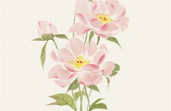 庚金女瘦点好还是胖点好？运势测算庚金女不能胖吗