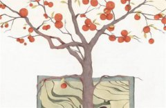 什么是阴华盖和阳华盖？运势测算伤害带华盖的人的后果