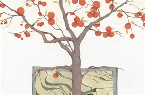 什么是阴华盖和阳华盖 伤害带华盖的人的后果