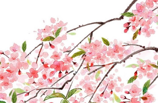 午亥暗合怎么看真合 午亥暗合化什么