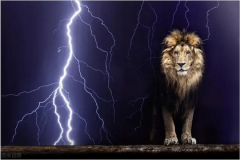 狮子座每日星座运势：2023年4月1日（真人算命一条街免费算卦街）