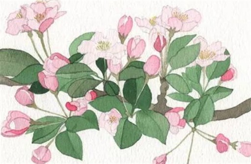 一生或有大权是几等命 一生或有大权命格好吗