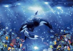 双鱼座每日星座运势:2023年4月3日(真人算命一条街免费算卦街)