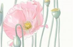 八字弃命从财格是什么意思？运势测算从财格命是不是不好