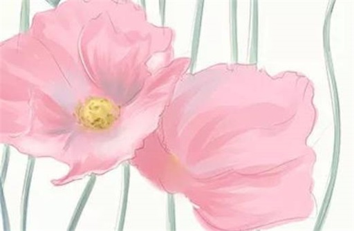 八字财厚之命是什么意思 厚财之命是什么意思