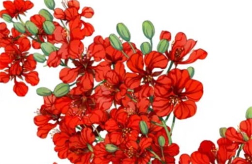 正财格女命属于几等 正财格女命属于好命吗