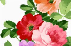 身强劫财格女命喜用神：运势测算身强劫财格女命走什么大运