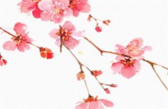 劫财格男命的性格表现：运势测算劫财格男命的财运好不好