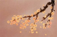 癸水女为什么总被人欺负：运势测算癸水怎么才能强大