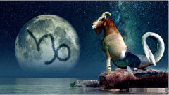 摩羯座每日星座运势：2023年4月10日（真人算命一条街免费算卦街）