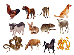 周易算命网站运势预测：2023年4月10日需要注意的属相有哪些？