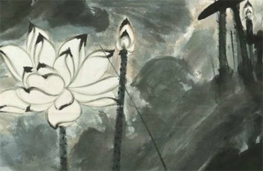 癸水女2023年运势 癸水女为什么是凤凰转世