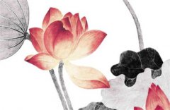 癸水命是怎么算出来的？运势测算上等癸水八字