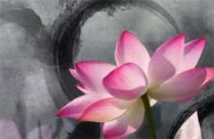 临官在时柱的女命：易经八卦临官在时柱代表的意义