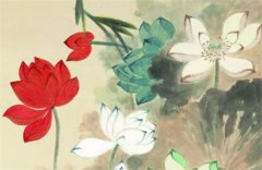 流年引动卯酉相冲会发生什么？运势测算卯酉冲化解的最好方法