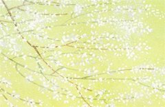 离火运之后是什么运？运势测算九火运下个运是什么