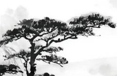 流年的才杀是什么意思？运势测算流年的才杀有什么影响