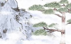 2023癸卯年好运八字：运势测算癸水有财卯木生旺