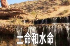 八字水土命的人运势测算好吗