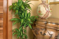 财神方位：家中财位如何布置才能招财