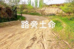 从不同角度运势测算分析路旁土命人
