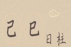 己巳日柱运势测算：是上等日柱吗