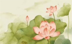 2023年横财运最好的人：测财运2023年甲木大发横财