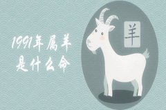 1991年属羊路旁土命人生肖运势今年怎么样