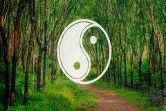 五行属木运势测算：需要什么来旺