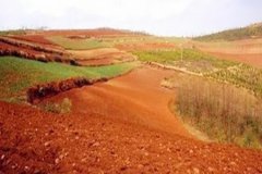 八字命理：屋上土命几月出生的好