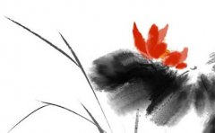 2023癸卯年哪些日柱有财运：运势测算2023癸卯年有财的八字