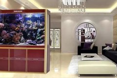 风水学:鱼缸风水摆放在哪个位置最好