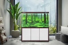 风水学:鱼缸风水尺寸多少最好