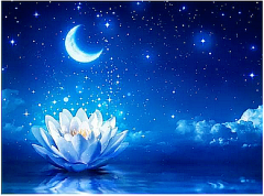 阿妙占星每日星座运势：2023年5月2日（真人算命一条街免费算卦街​）